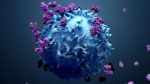 বন্দর নগরী চট্টগ্রামে যুক্তরাজ্য ও দক্ষিণ আফ্রিকার ভ্যারিয়েন্ট পেয়েছেন চট্টগ্রাম ভেটেরিনারি ও অ্যানিম্যাল সায়েন্সেস বিশ্ববিদ্যালয়ের (সিভাসু) একদল গবেষক। তবে ভারতীয় কোন ভ্যারিয়েন্ট পাওয়া যায়নি।