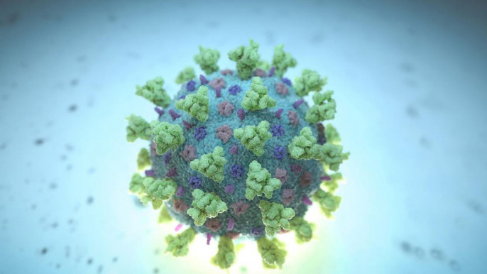 করোনায় আরও ৬১ মৃত্যু, নতুন শনাক্ত ১৯১৪