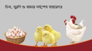 ডিম, মুরগি ও বাচ্চার আজকের বাজারদর