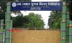 এবছর ১২ হাজার চারশ টন চিনি উৎপাদন হবে নর্থ বেঙ্গল সুগার মিলে