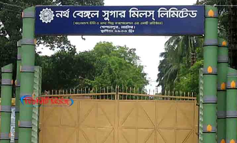 এবছর ১২ হাজার চারশ টন চিনি উৎপাদন হবে নর্থ বেঙ্গল সুগার মিলে