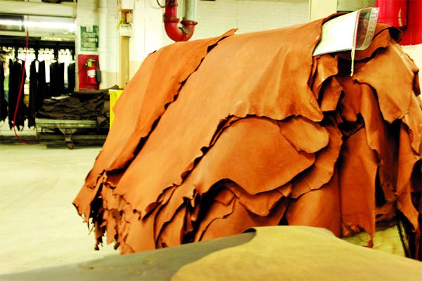 চামড়া শিল্প: রফতানি বাড়লেও কাটছেনা নানা সংকট