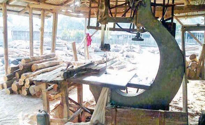 অবৈধ করাতকলে বন উজাড়