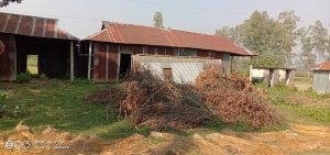 জরাজীর্ণ শিক্ষাপ্রতিষ্ঠানে ঝুঁকিপূর্ণ ভোট কেন্দ্র