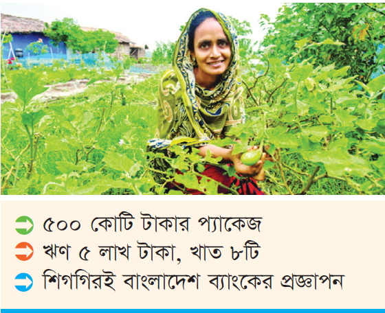 গ্রামীণখাত-চাঙা-করতে-প্রণোদনা