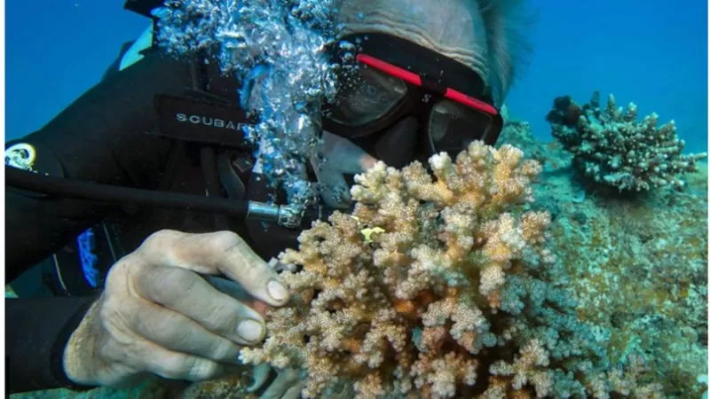 দেশের সমুদ্রসম্পদের ৯৫ ভাগই অজানা