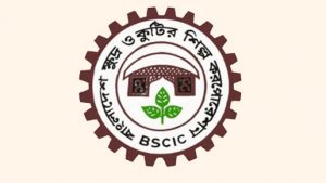 বাংলাদেশ ক্ষুদ্র ও কুটির শিল্প সংস্থা (বিসিক) এর আওতাধীন প্রশিক্ষণ ইনস্টিটিউট (স্কিটি) দেশের শিক্ষিত মহিলাদের শিল্পায়নে উদ্বুদ্ধ করতে প্রশিক্ষণ দিবে।