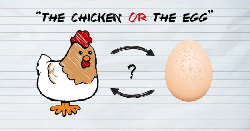 মার্কিন গবেষণা: আগে ডিম পরে মুরগি!