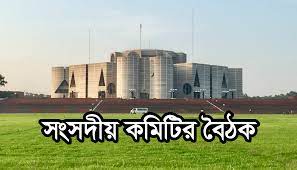 একটি এনআইডিতে ৫টি সিম: সংসদীয় কমিটি