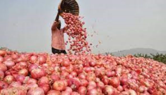 হিলিতে কমেছে পেঁয়াজের দাম