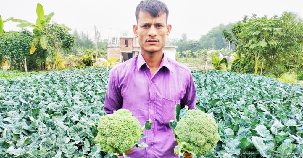 ব্রকলি চাষে সফলতা, বিক্রি নিয়ে শঙ্কা