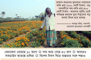 চাষিদের চোখে সর্ষে ফুল