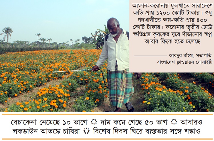 চাষিদের চোখে সর্ষে ফুল