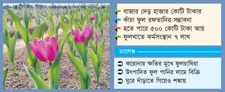 অর্থনীতিতে ফুলের সৌরভ