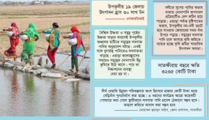 উপকূলে লবণাক্ততার বিপদ