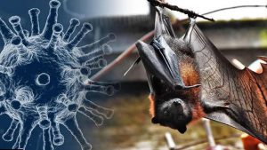 করোনার নতুন ধরন নিওকোভ