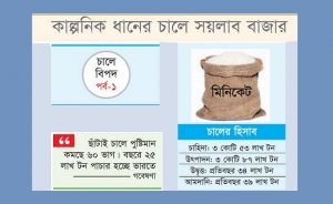 কৃত্রিম চালের পুষ্টিহীন চমক