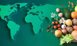 রাশিয়া-ইউক্রেন যুদ্ধ: খাদ্যে মানবিক বিপর্যয় ডেকে আনবে