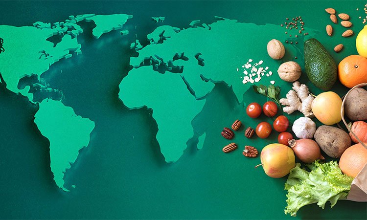 রাশিয়া-ইউক্রেন যুদ্ধ: খাদ্যে মানবিক বিপর্যয় ডেকে আনবে