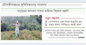 আনারস পাতায় উন্নত সুতা