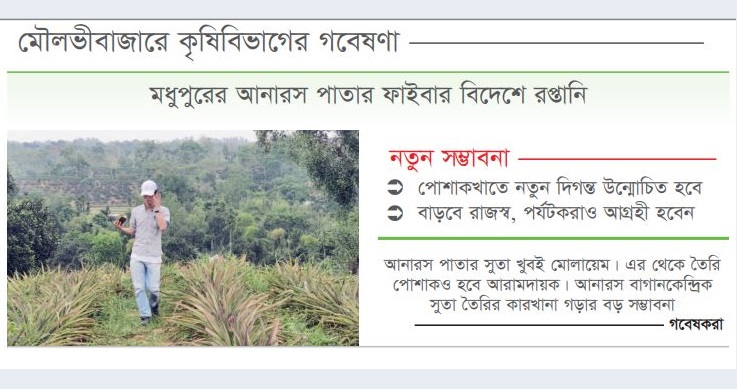 আনারস পাতায় উন্নত সুতা