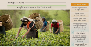 পরিবেশের হুমকি চা-শিল্পে