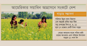 ফিরতে হবে সরিষায়