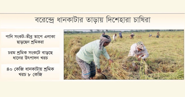 মরুর তাপে শ্রমিক উধাও