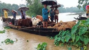 সিলেটের অর্থনীতিতে বন্যার করাত