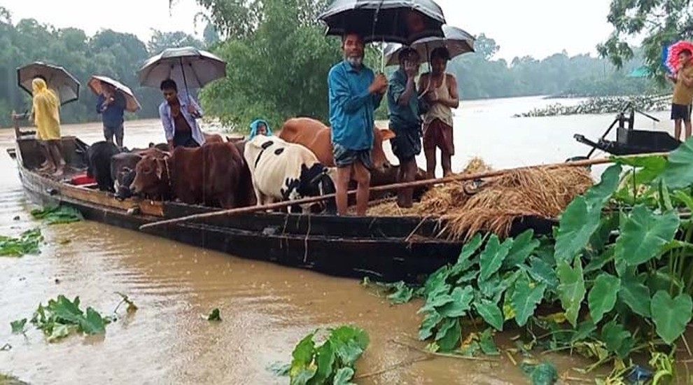 সিলেটের অর্থনীতিতে বন্যার করাত