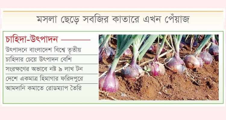 অতিরিক্ত উৎপাদনেও আমদানি