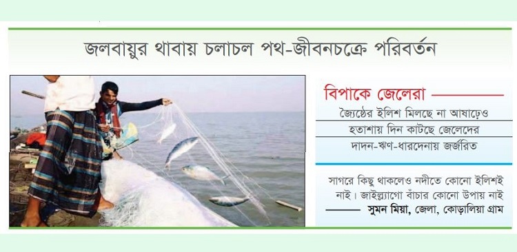 উপকূলে ইলিশের মৌসুমে বদল