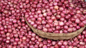 কোরবানির আগেই চড়া পেঁয়াজের বাজার