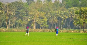 চাই পরিবেশবান্ধব সবুজ বাংলা