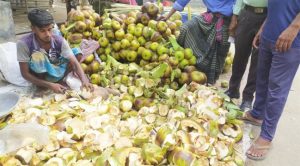 তালের শাঁস বিক্রির ধুম