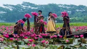দক্ষিণে-পর্যটনে-কচ্ছপগতি