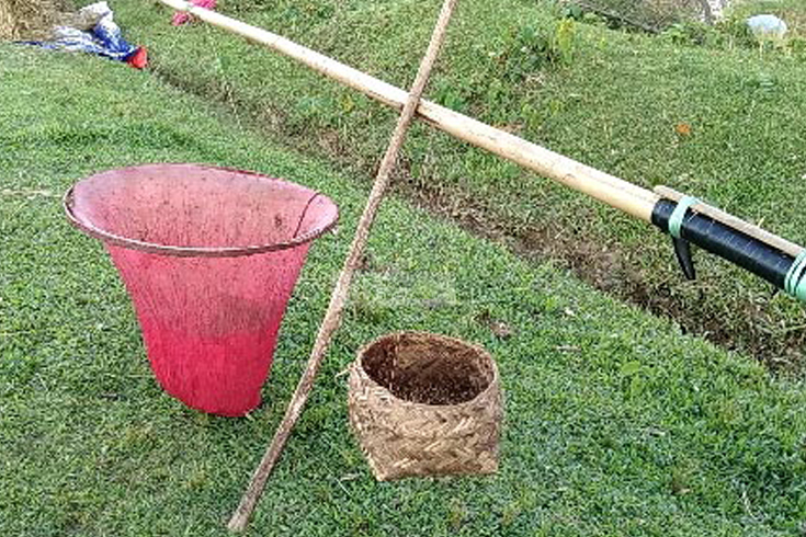 পিঁপড়ার ডিমে জীবিকা