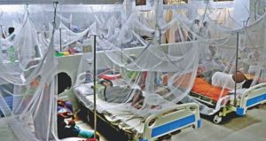 সারাদেশে আরও ১৭ ডেঙ্গু রোগী হাসপাতালে