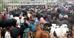 আমদানি বেশি ক্রেতা কম