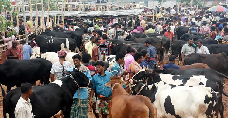 আমদানি বেশি ক্রেতা কম