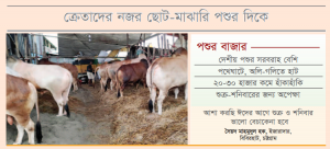 কোরবানির বাজেটে কাটছাঁট