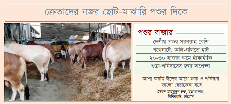 কোরবানির বাজেটে কাটছাঁট