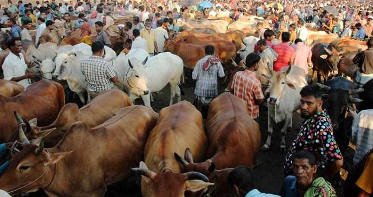 ক্রেতার দ্বিধায় বেপারীর শঙ্কা