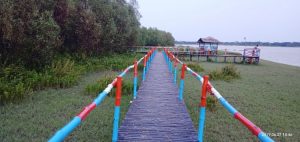 পর্যটনে প্রস্তুত রূপসী ম্যানগ্রোভ
