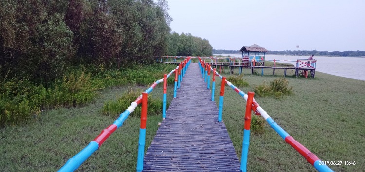পর্যটনে প্রস্তুত রূপসী ম্যানগ্রোভ