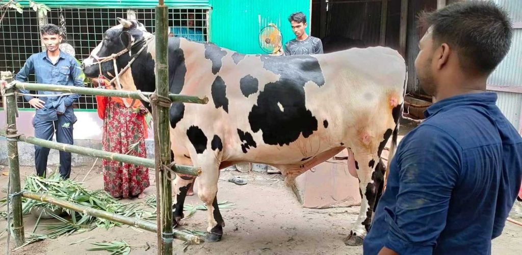 সাড়া ফেলেছে ‘ইউটিউবার-চিরকুমার’