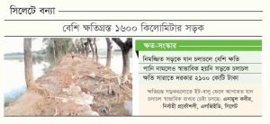 সেতু-সড়কে সুনামির ক্ষত