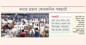 হাটভর্তি গরু ক্রেতা কম