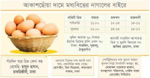 প্রোটিনে ডিমের লাগাম