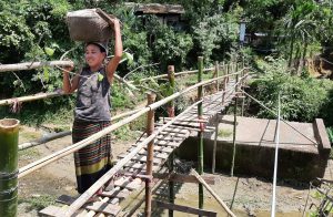 পারাপারে ৫শ’ পরিবারের ভরসা সাঁকো